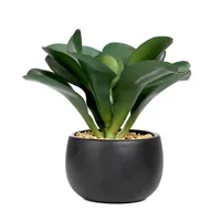Künstliche Pflanze Kunstpflanze Kunstblume SEMELA Sukulent 20 cm HOMLA