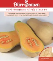 Dürr-Samen - Mini-Butternut-Kürbis Tiana F1 - Saatgut - 4270