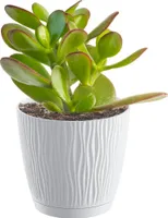 Doniczka Sandy z miską biała 12,9 cm