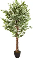 hjh OFFICE Kunstpflanze FICUS Künstliche Pflanze Birke Höhe 165.0 cm Deko