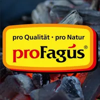 proFagus Der Sommer Hit Buchen Grillholzkohle zum Grillen 2500g