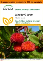 SAFLAX Garden in the bag - jahodový strom - Arbutus unedo - 50 Semená - S pestovateľským substrátom v praktickom samostaviteľnom vrecku
