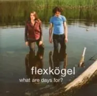 Flexkögel-What Are Days For?
