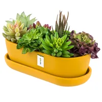 Blumentopf Keramik Gelb Kaktenschale mit Untersetzer Oval LxBxH 13 cm x 27,5 cm x 8 cm Oberfläche Matt Kakten Modern Glamour