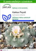 SAFLAX - Kaktus Peyotl - Lophophora williamsii - 20 Semená - S pestovateľským substrátom bez klíčkov