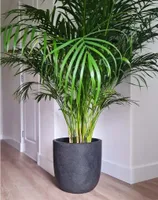 Capi Blumentopf Waste Smooth 43x41 cm Grau