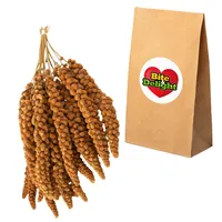 Bite&Delight - Senegalské červené proso 15kg - Přírodní pochoutka pro ptáky, ideální pro papoušky, kanáry a divoké ptáky