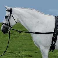 Ausbindezügel mit Gummi schwarz Pony