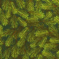 Geschenkpapier Tannenzweige Muster 70cm x 2m Rolle dunkelgrün / grün