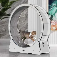Běžecký pás Canadian Cat velikost L | WHITE EDITION | BÍLÁ