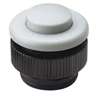 Protact 381 KS ws-ws Klingeltaster