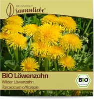 Löwenzahn Samen Wilder Löwenzahn Kräuter-Samen Saatgut Löwenzahnsamen