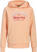 Jack & Jones Logo Kapuzenpullover Kinder