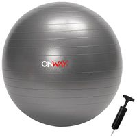 OnWay Gymnastikball mit Pumpe Fitnessball 55cm grau OFA1021-55PP