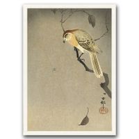 Poster - Canvas - Leinwand - 59,4 cm x 84,1 cm - Fotoposter - Leinwandkunst - Vogel auf einem Ast und Spinne