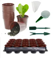 MIKONI 1 x Anzuchtplatte + 20 Saattopf, Anzuchtschale Topfplatte Anzuchttöpfe Blumentopf Pflanztöpfe