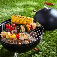 HI Mini-Holzkohlegrill Schwarz