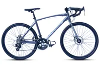 WYNN Kinderrad Gravelbike Gravel 26 Zoll GRL2.2 grau Rahmenhöhe 46 cm 14 Gänge mech. Scheibenbremse