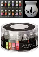 GKA Aroma Diffusor Set 13tlg mit Duftlampe Duftöl Ätherisches Öl Aromatherapie Duft 12 verschiedene Düfte aus Frankreich Jasmin Lavendel Rose Himbeere