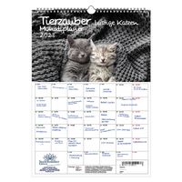 Tierzauber lustige Katzen Planer DIN A3 - Kalender für 2023 lustige Katzen  - Seelenzauber