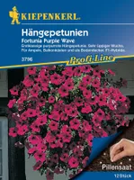Kiepenkerl Hängepetunie Fortunia Purple Wave Petunia x atkinsiana, Inhalt: 9 Pillen