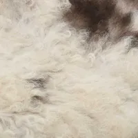 vidaXL Ovčí kůže smíšené barvy 70x100 cm