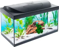 Aquarium Tetra Dein Aquarium Starter Line inkl. Abdeckung Beleuchtung Heizer/Heizstab Futter Wasseraufbereiter Rückwandfolie 61 x 36 x 32 cm
