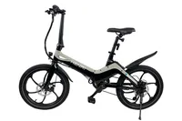 Blaupunkt Henri® 20 Zoll E-Faltrad -  achatgrau / schwarz / Modell 2022