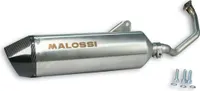 Wydech Malossi RX