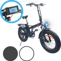 Elektro Klapprad FATBIKE 20" Aluminium Anthrazit