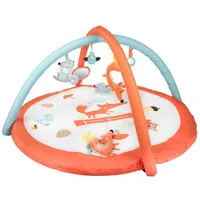 Canpol Babies Fox Spielbogen Spielmatte 75/200