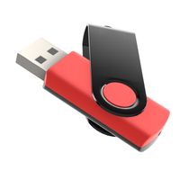 Zwei Farben  USB Stick  Swivel 1GB Schwarz-Rot-Schwarz