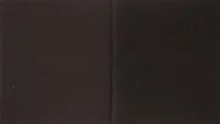 Wpro Aktivkohlefilter, Filter, Filtermatte CHF685 - Nr.: 481281718355