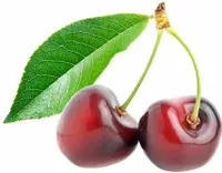 Süßkirsche 'Van'  selbstbestäubend Prunus avium Van