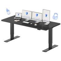 FLEXISPOT Höhenverstellbarer Schreibtisch Elektrisch 200x80cm, 2 starke Motoren, 120 kg Tragkraft, Antikollisionsschutz, 4 Memory-Funktion (Schwarz)