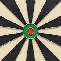 Kings Dart Steeldartscheibe "Professional"