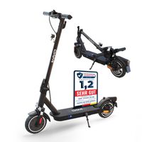 DAMI E-Scooter mit Straßenzulassung (ABE): leicht tragbarer und faltbarer Elektroroller mit 400-W-Motor, doppelter Stoßdämpfung, IP54, Dualbremssystem