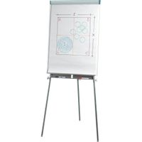 Flipchart Esselte, 70 x 100 cm