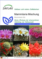 SAFLAX - Kakteen - Mammilaria Mischung - 40 Samen - Mammilaria Mix