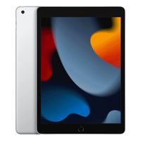 iPad Wi-Fi + Cellular 256GB Strieborný - Silver (2021)