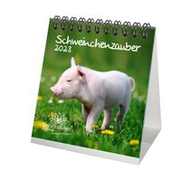 Schweinchenzauber Tischkalender für 2023 Format 10cm x 10cm Schweinchen - Seelenzauber