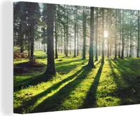 MuchoWow® - Leinwandbilder - Bäume - Natur - Wald, Wandbild, Wanddeko Bilder Wohnzimmer, 120x80 cm