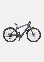 250W Mid-Drive Motor, 80Nm Drehmoment Carbon Fiber City-E-Bike E-Hollandräder 2025 Grau