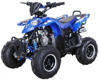 Midiquad Miniquad ATV S-5 125 cc Quad Pocket Bike Kinderquad Benzin Pocketquad (Blau)