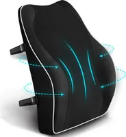Lordosenstütze, Lendenkissen, Lendenwirbelkissen für Bürostuhl Auto, Memory Schaum Rückenkissen mit atmungsaktiver 3D-Netz-Lendenwirbelstütze
