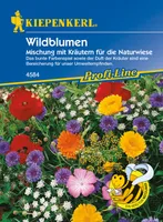 KIEPENKERL Blumenmix Wild- und Kräuter