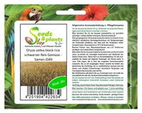 30x Oryza sativa black rice schwarzer Reis Gemüse - Samen ID46