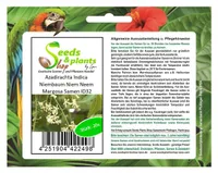 20x Azadirachta Indica Niembaum Niem Neem Margosa Pflanzen - Samen ID32