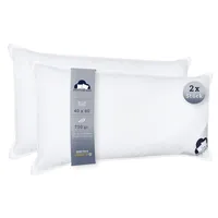 Luxus 2er Set Daunenkissen 40x80 cm Daunen & Federn, Winterkissen, Schlafkissen, pillow Federnkissen, Füllung 750 g pro Kissen Sofakissen