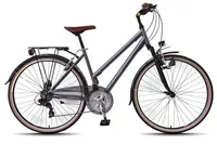 WYNN Trekkingrad 28 Zoll TRK1.0 grau Rahmenhöhe 53 cm Damen 21 Gänge V-Brake